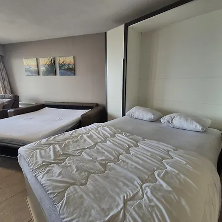 Large Beachstudio Seaview Near Brugge *