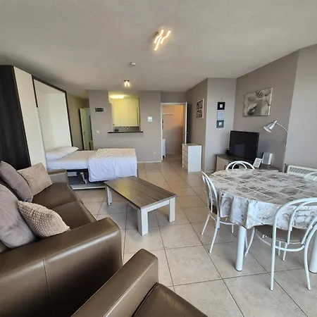 Apartman Large Beachstudio Seaview Near Brugge *