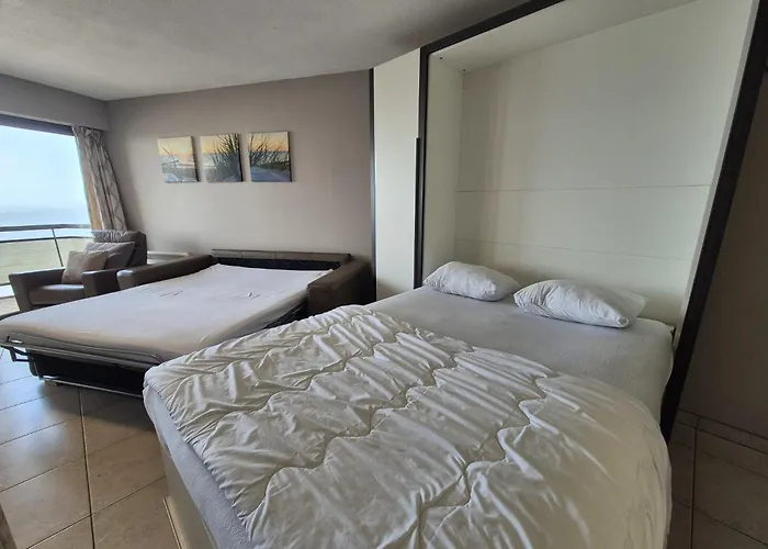 Large Beachstudio Seaview Near Brugge *